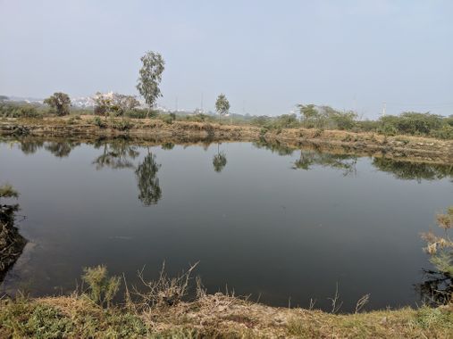 उद्धव क्यारी, नंदगांव में कुंड का एक और दृश्य