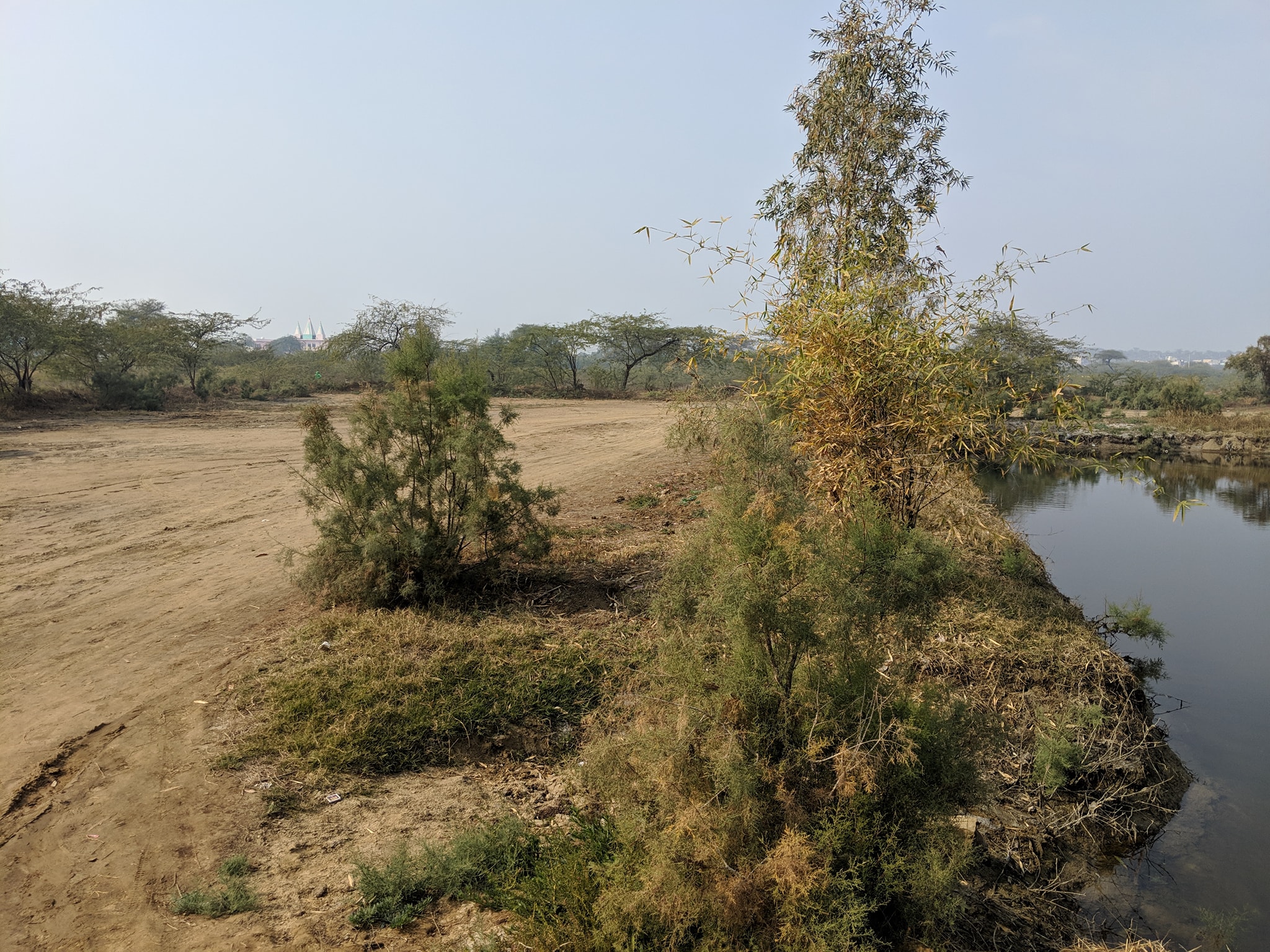View of kund and forest at Uddhav Kyari, Nandgaon