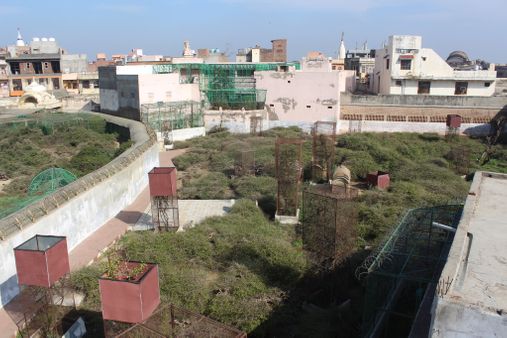 View of Sewa Kunj boundary from Kishor Van, Vrindavan