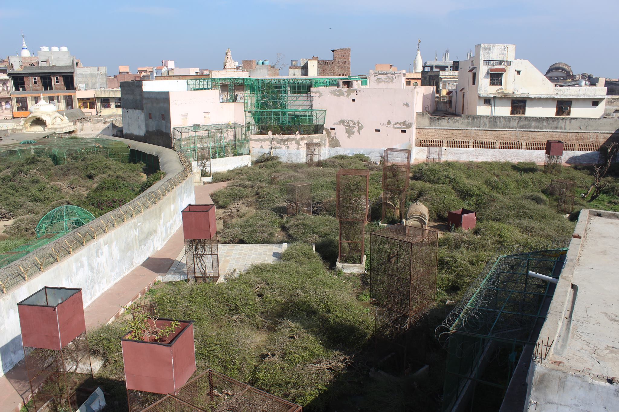 View of Sewa Kunj boundary from Kishor Van, Vrindavan