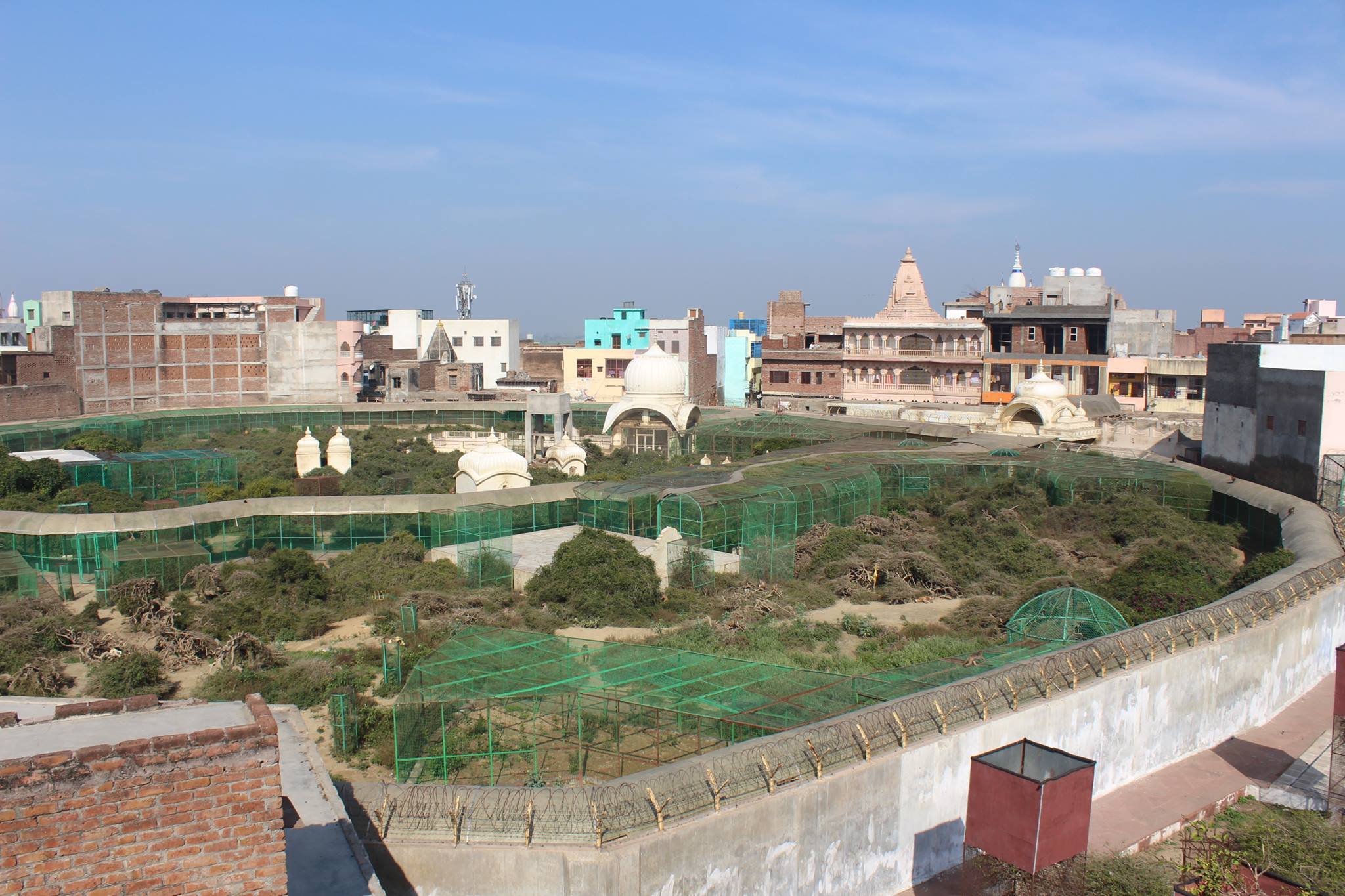 Another view of Sewa Kunj boundary from Kishor Van, Vrindavan