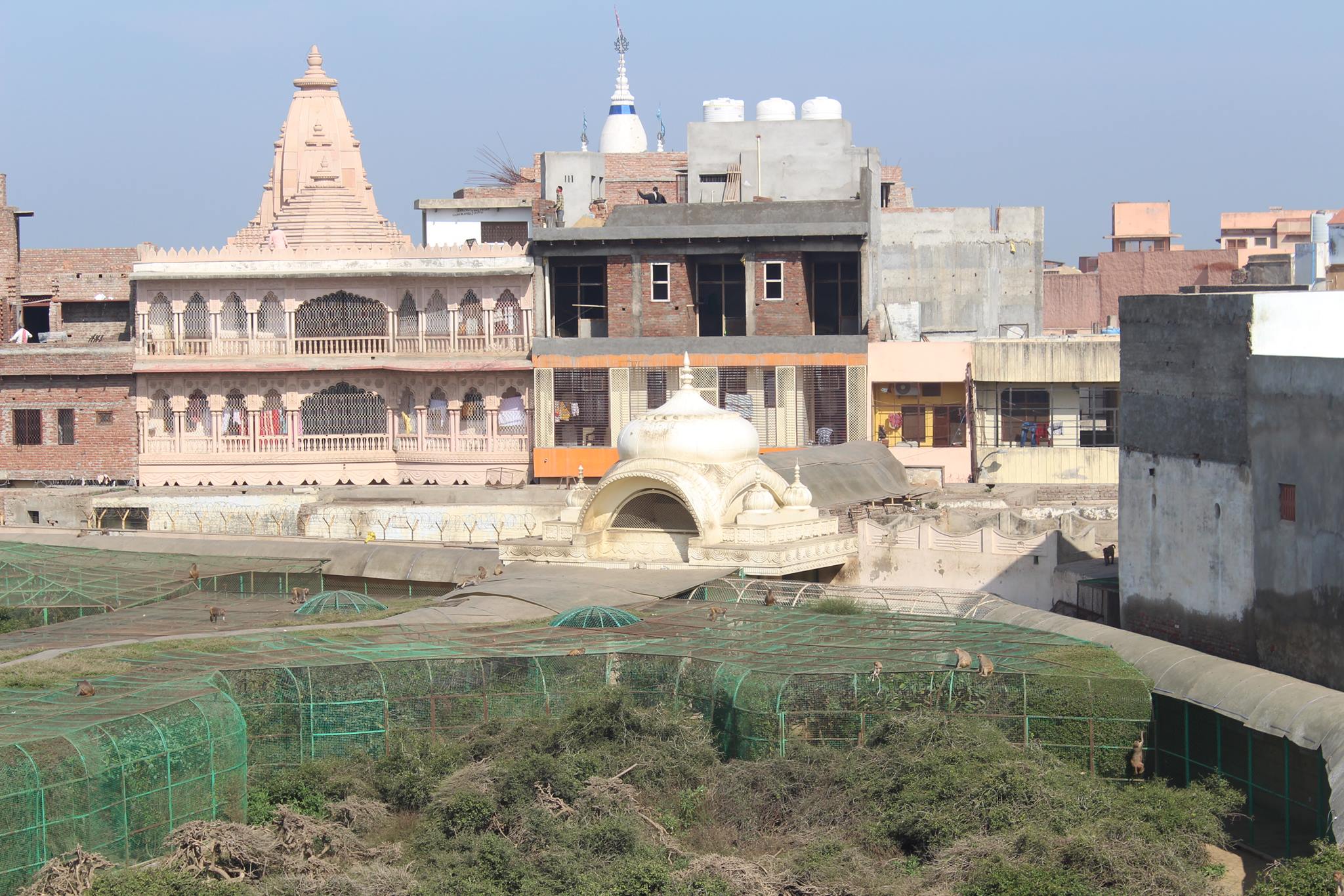 Sewa Kunj from Top, an Inside view of Sewa Kunj from Kishor Van, Vrindavan.