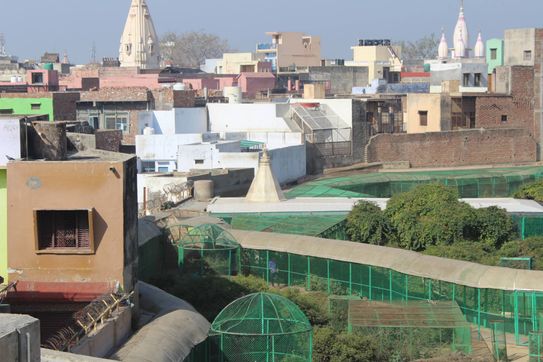 View of Sewa Kunj Temple from Kishor Van, Vrindavan