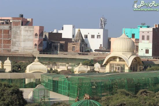 Close view of Maharaas Sthali of Sewa Kunj from Kishor Van, Vrindavan