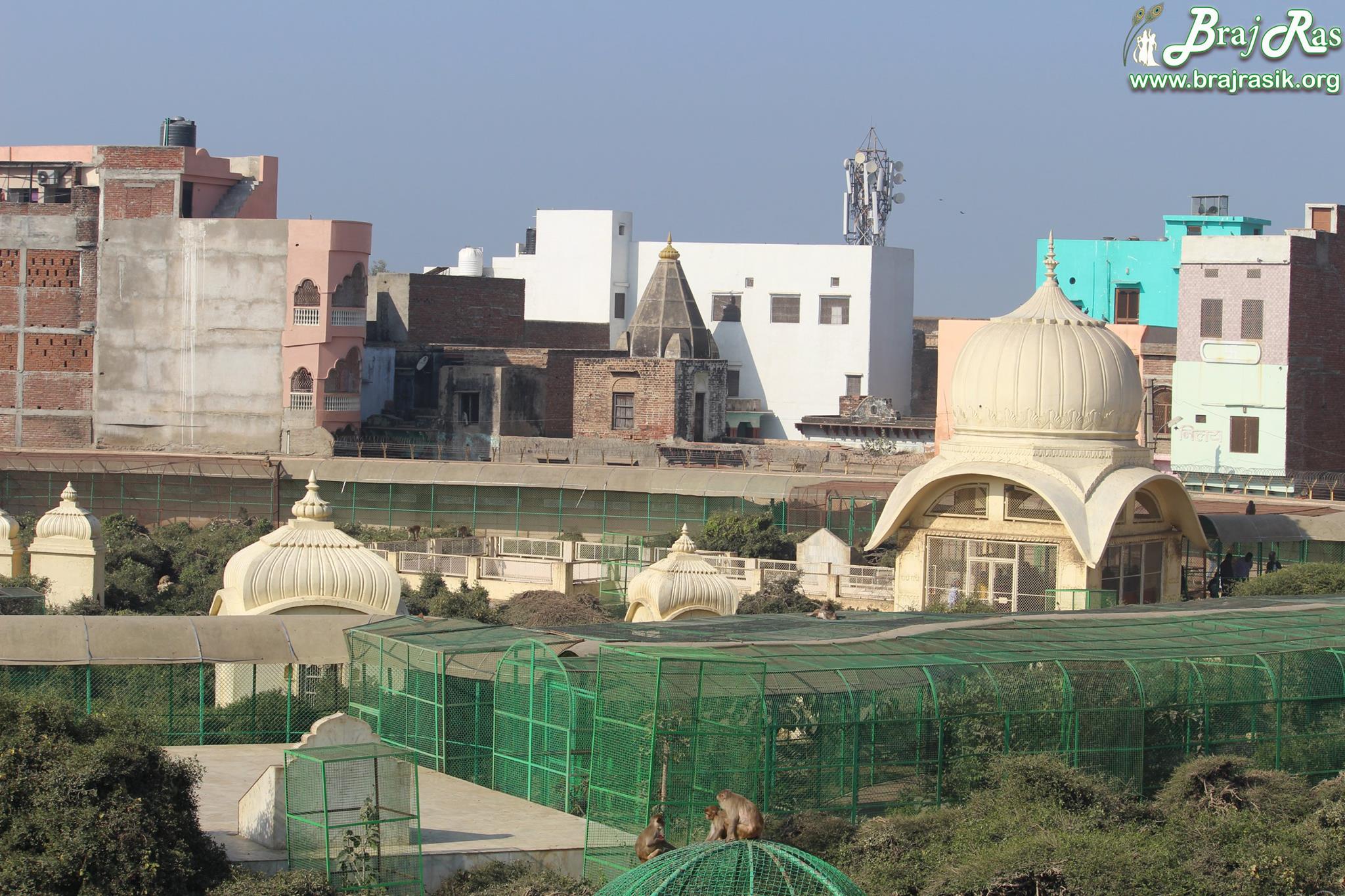 Close view of Maharaas Sthali of Sewa Kunj from Kishor Van, Vrindavan