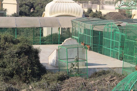 A close nice view of Maharaas Sthali in Sewa Kunj from Kishor Van, Vrindavan