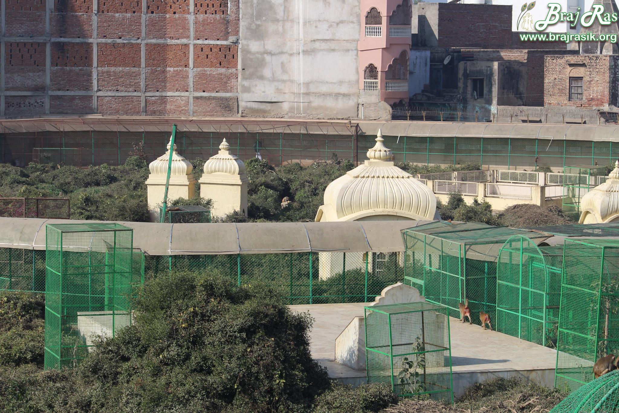 A close beautiful view of Maharaas Sthali in Sewa Kunj from Kishor Van, Vrindavan