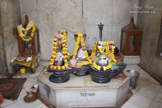 Darshan of Lord Shiva at Maa Anandamayee Ashram, Vrindavan