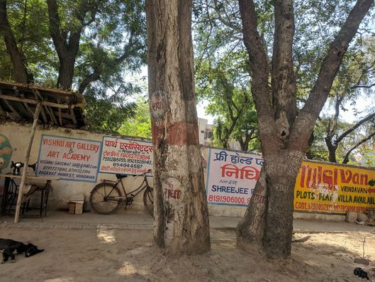 "Shri Radha" name written on a tree at Parikrama Marg, Vrindavan.