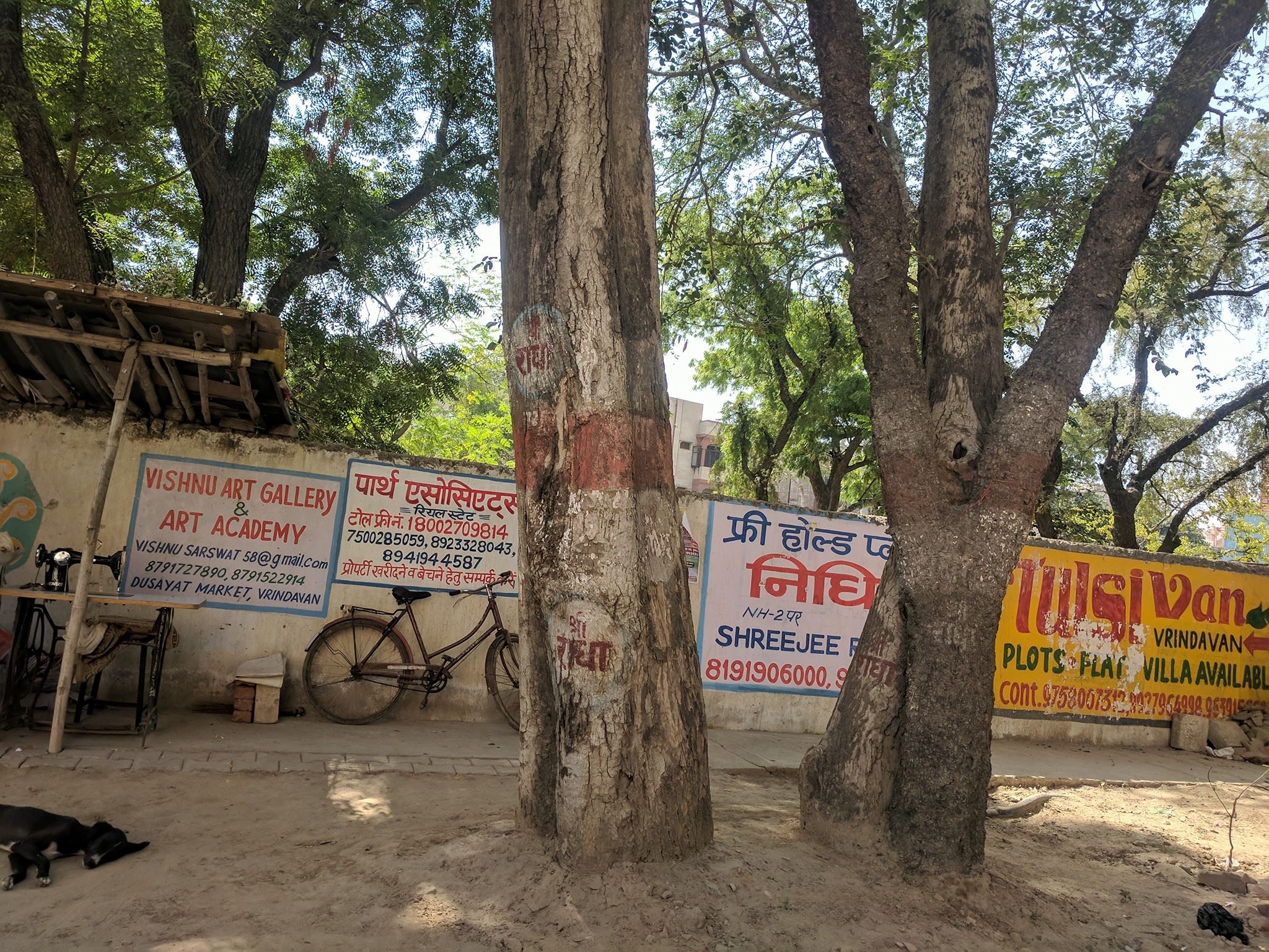 "Shri Radha" name written on a tree at Parikrama Marg, Vrindavan.