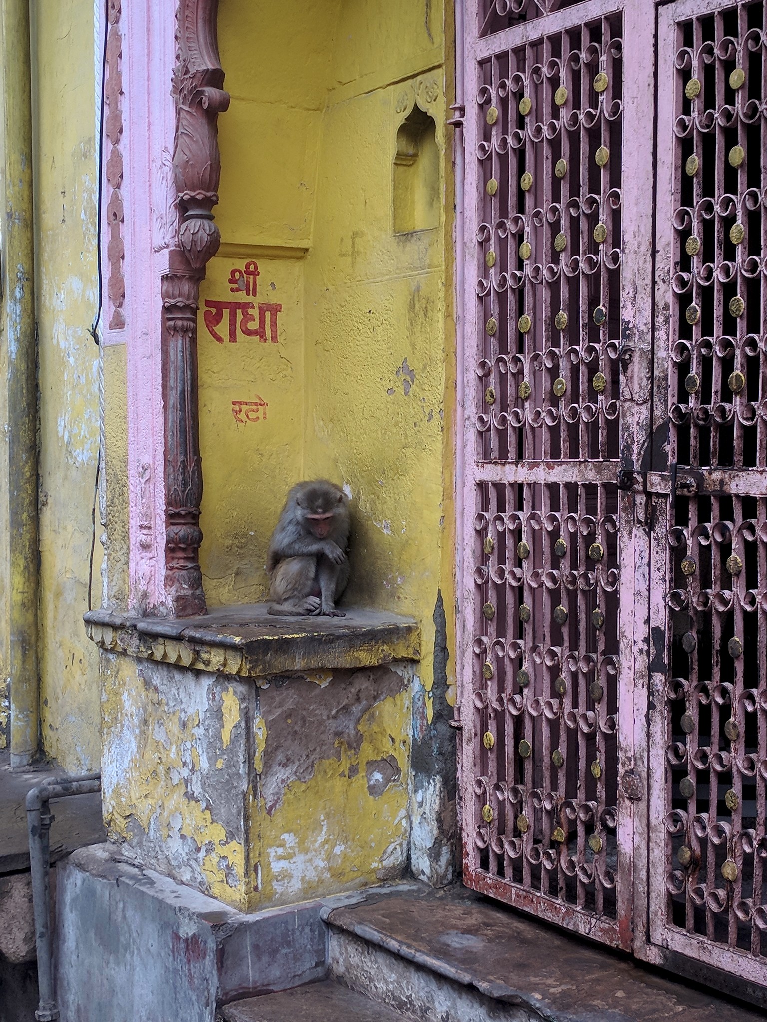"Shri Radha" name written on the wall of Venu Gopal Temple near Bankhandi Mahadev in Vrindavan.
