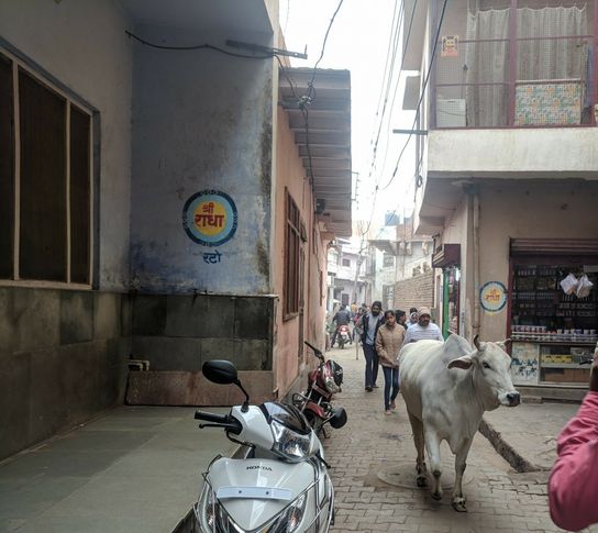 "Shri Radha" name written on the wall in kunj gali at Vrindavan.