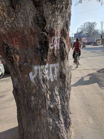"Shri Radha" name written on the tree near Prem Mandir at Vrindavan.