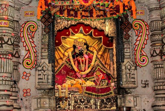 Close darshan of Shri Radha Sneh Bihari Ji Maharaj at Shri Radha Sneh Bihari Temple, Vrindavan