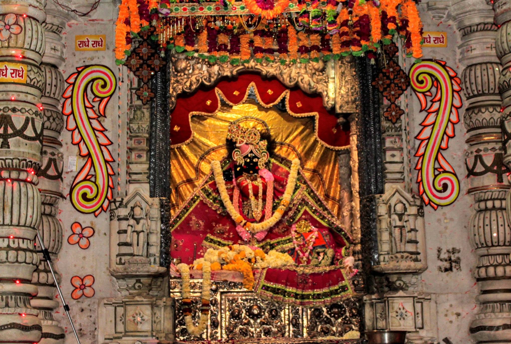Close darshan of Shri Radha Sneh Bihari Ji Maharaj at Shri Radha Sneh Bihari Temple, Vrindavan