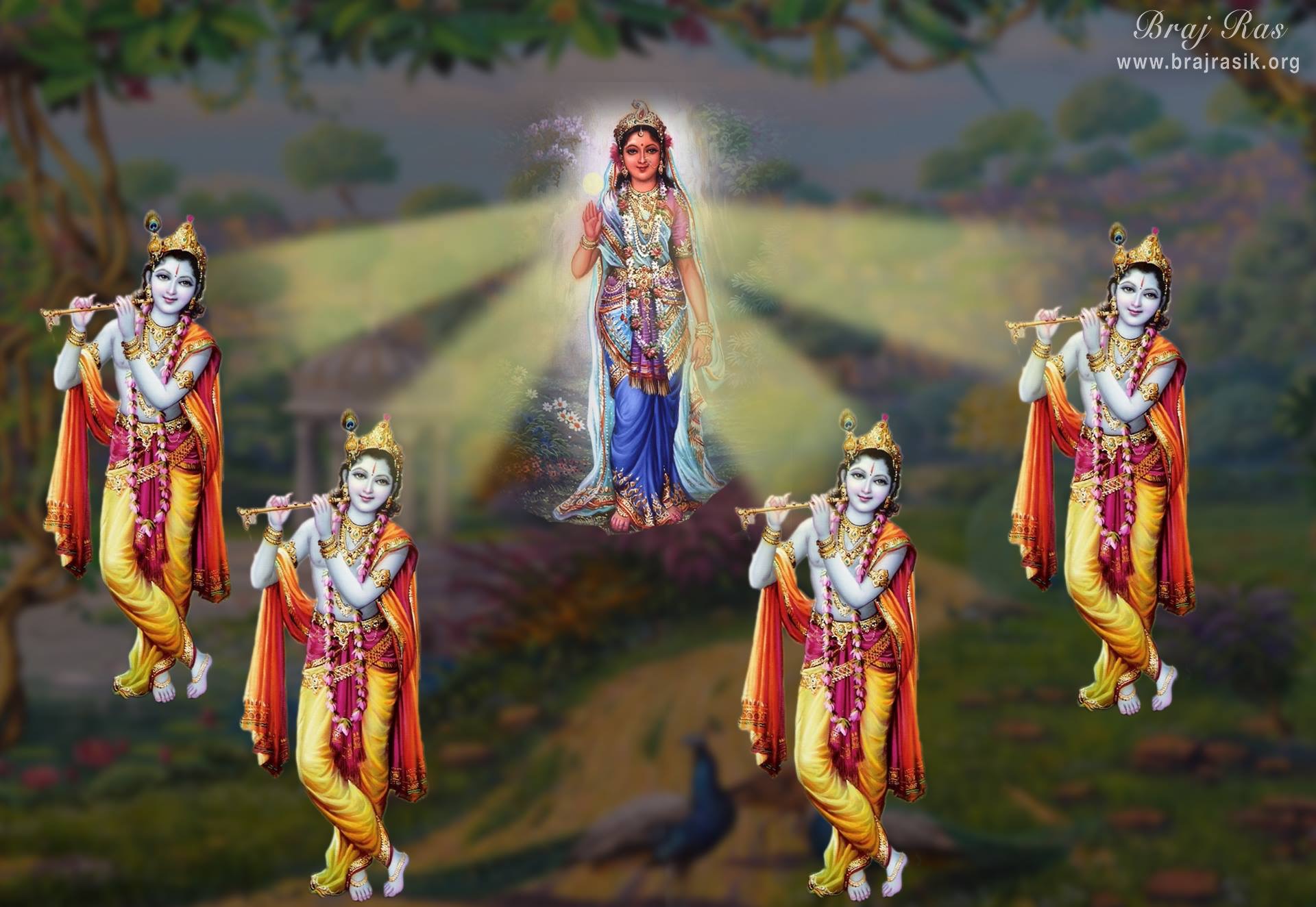Wallpaper representing The leela written by Shri Hariram Vyas: "Kotin Roop Dhare Nandnandan, Tau na Paayo Paar. Param Dhan Radha Naam Aadhar. "

Shri Krishn has taken uncountable forms to fathom the depth of Shri Radha’s love, but He couldn’t. The name “Radha” is only my absolute wealth and treasure.