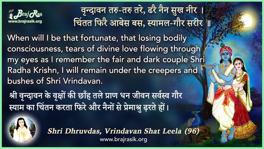 वृन्दावन तरु-तरु तरे - श्री ध्रुवदास, बयालीस लीला, वृंदावन शत लीला (96)