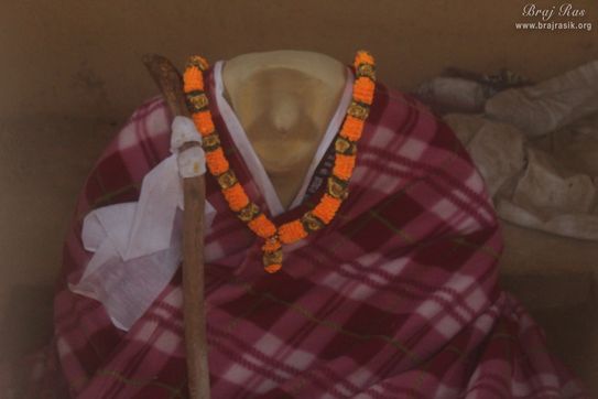 Darshan of Samadhi of Shri Biharin Dev Ji, the direct disciple of Swami Haridas at Nidhivan, Vrindavan.