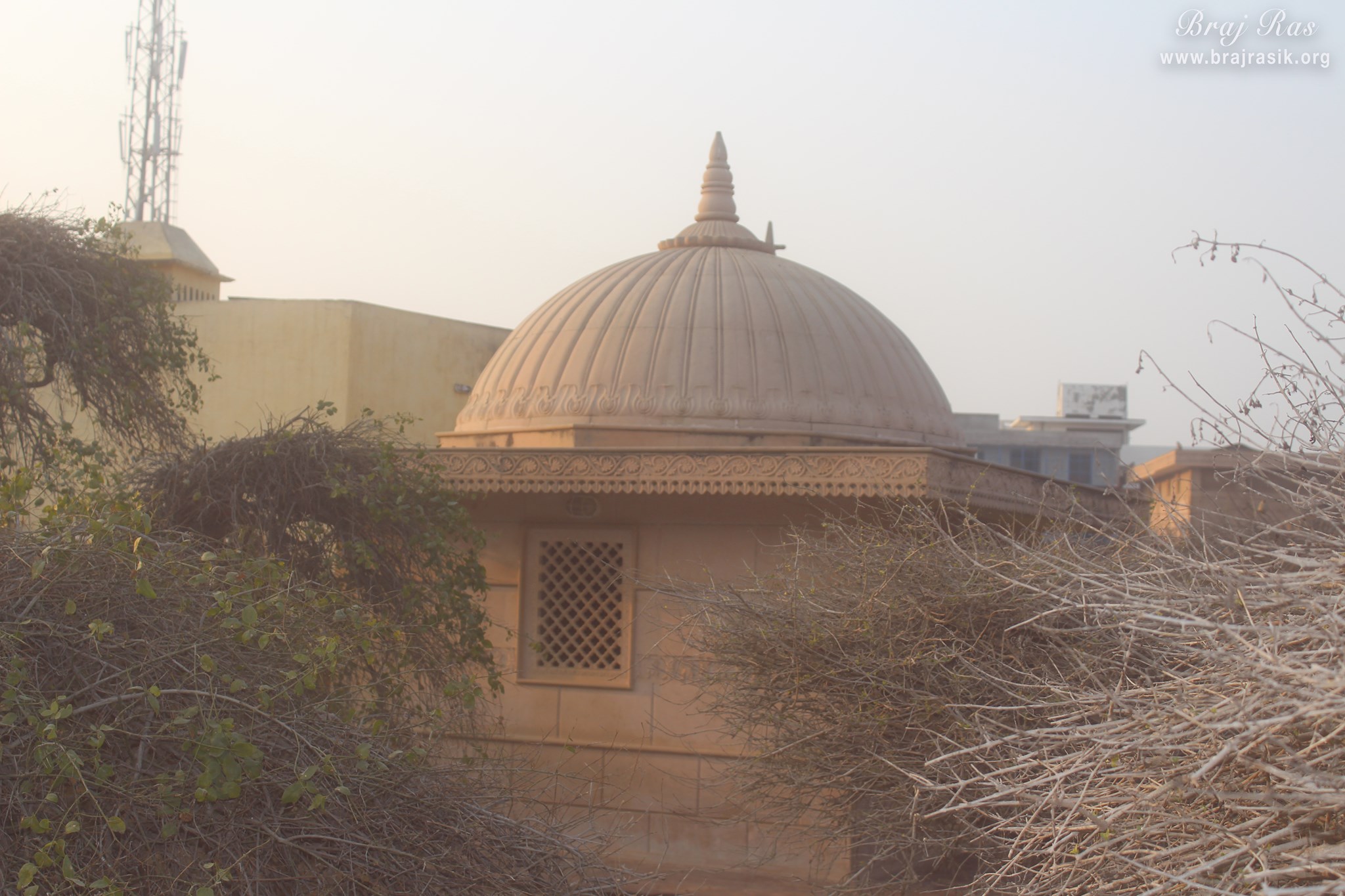 Temple Darshan of Samadhi of Shri Biharin Dev Ji, the direct disciple of Swami Haridas at Nidhivan, Vrindavan.