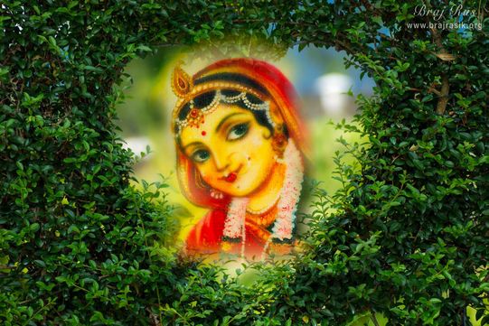 Check out beautiful wallpaper representing Shri Radharani standing inside the bowery alcoves of Vrindavan. [Braj Ras desktop retouched wallpaper of Shri Radha Krishna]