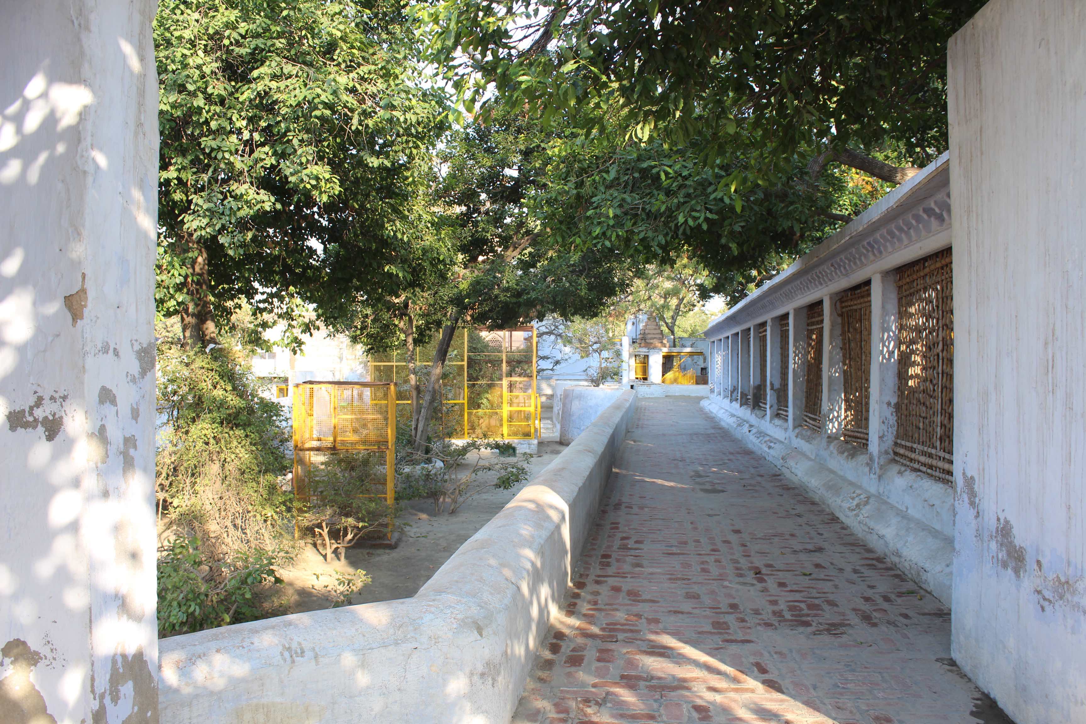Glimpses of inner pathway of Tatiya Sthan, Vrindavan.