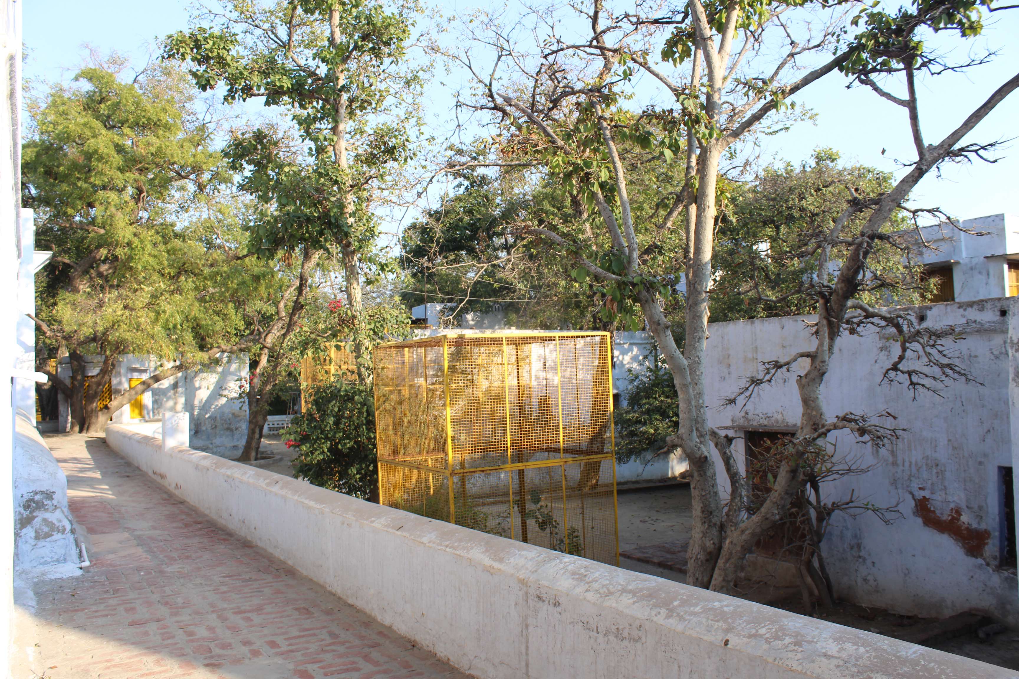 Inside view of Shri Tatiya Sthan, Vrindavan from a hut of Sadhu living there.