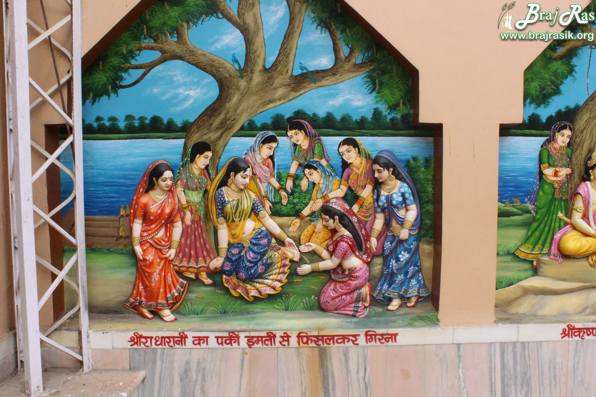 By putting feet on a ripe Tamarind Fruit, Shri Radharani slipped and fell down at Imlitala, Vrindavan.