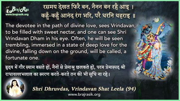रसमय देखत फिरै बन - श्री ध्रुवदास, बयालीस लीला, वृंदावन शत लीला (94)