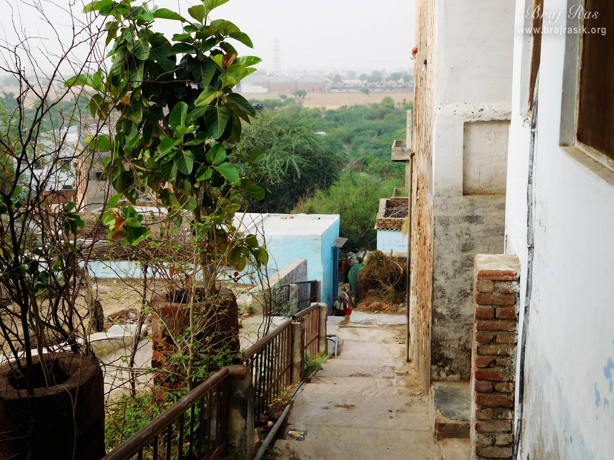 View of Barsana from Rasik saint Shri Nagridas Bhajan Kutir.