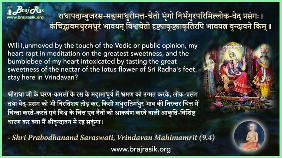 राधापदाम्बुजरस-महामाधुरीमत्त-चेतो - श्री प्रबोधानन्द सरस्वती, वृन्दावन महिमामृत (9.04)