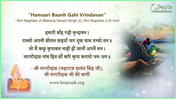 हमारी बाँह गही वृन्दावन - श्री नागरीदास (महाराज सावंत सिंह जी), श्री नागरीदास जी की वाणी