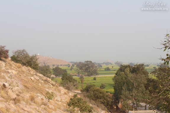 View of greenery along the hill at Shri Kedarnath, Braj.