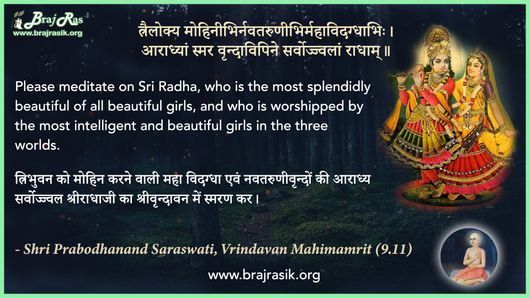 Trailokya Mohinibhirnavatarunibhirmahavidagdhabhih - Shri Prabodhanand Saraswati, Vrindavan Mahimamrit (9.11)