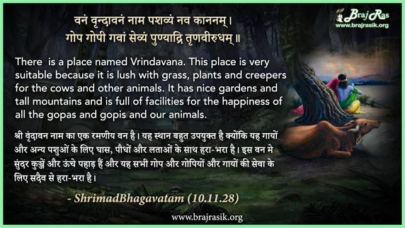 वनं वृन्दावनं नाम पशव्यं नव काननम् - श्रीमद्भागवतम् (10.11.28)