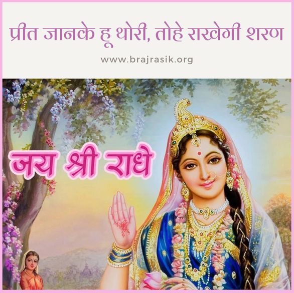 प्रीत जानके ही थोरी तोहे राखेगी शरण - श्री प्रेमी जी 