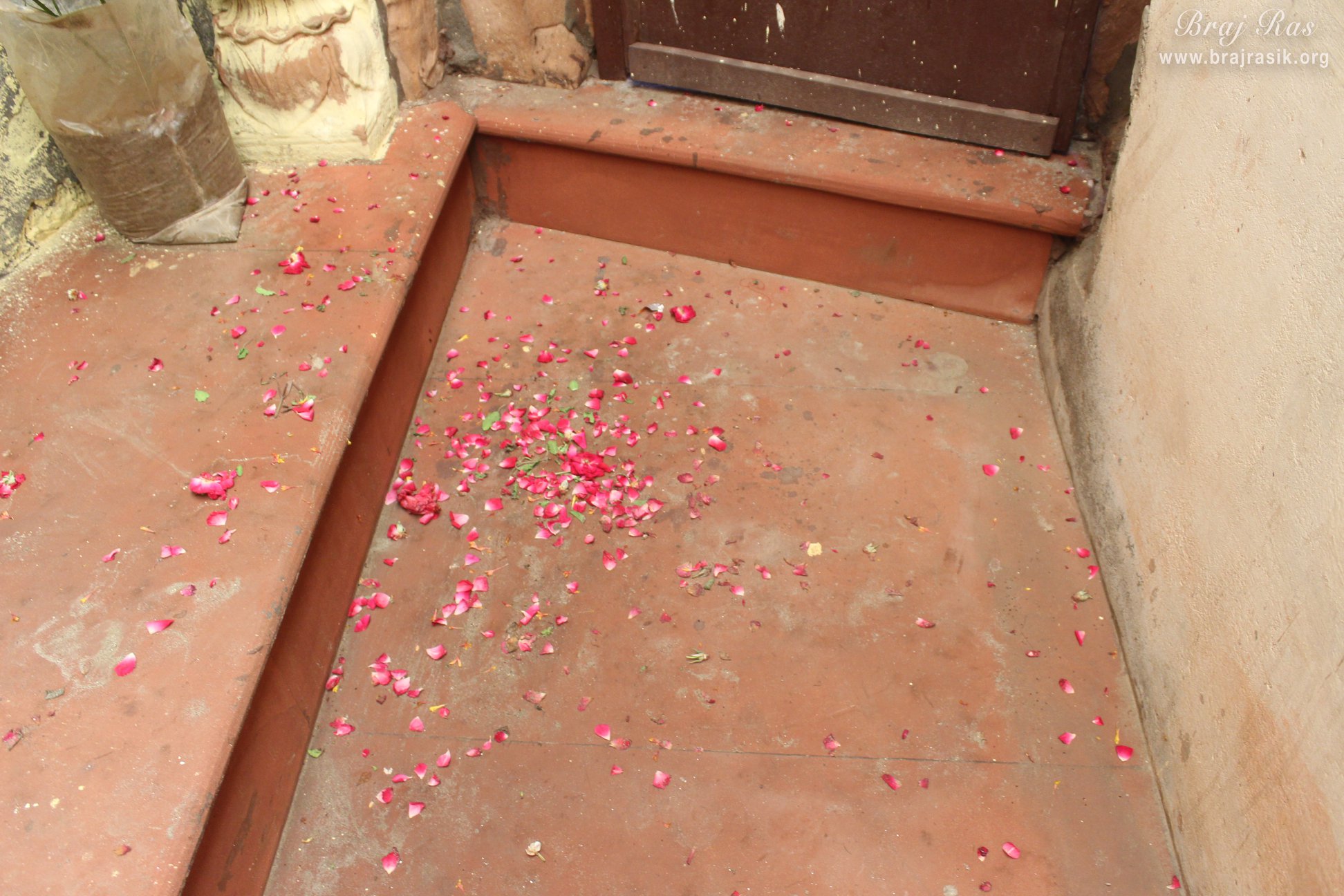 शाहजी मंदिर, वृंदावन में द्वार पर गुलाब की पंखुड़ियां