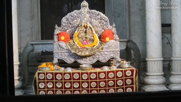 Beautiful distant deity darshan of Shri Radha Krishna at Shahji temple, Vrindavan