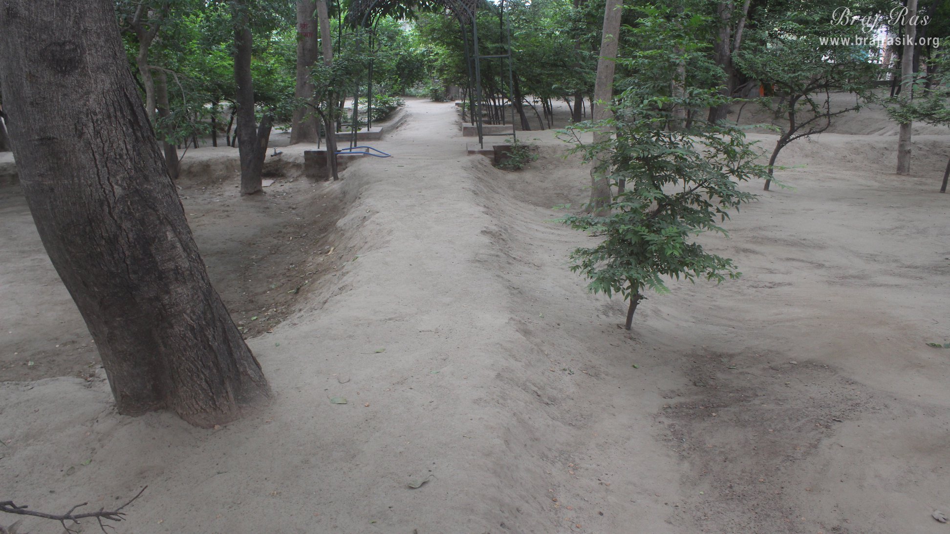 View of the forest of Madan Ter Vrindavan
