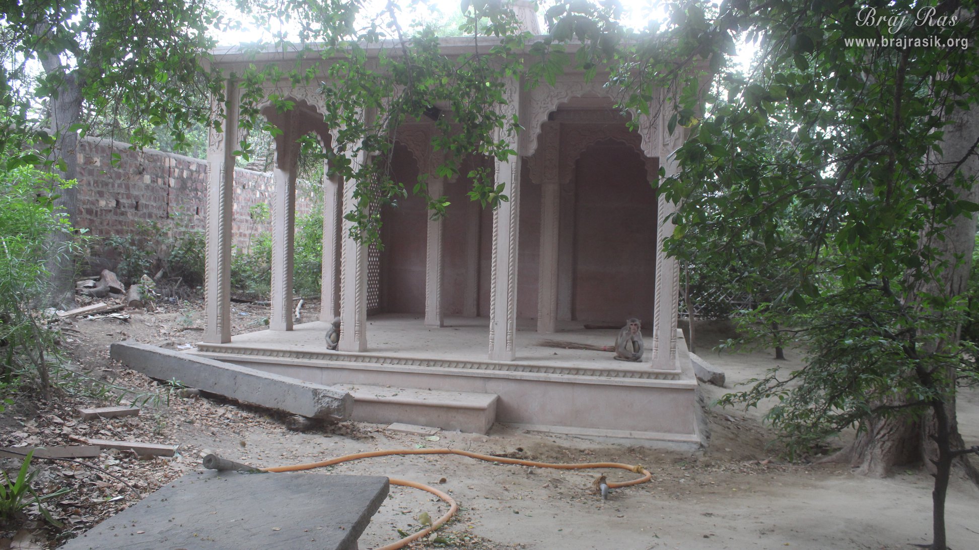 View of a kuti inside forest of Madan Ter Vrindavan