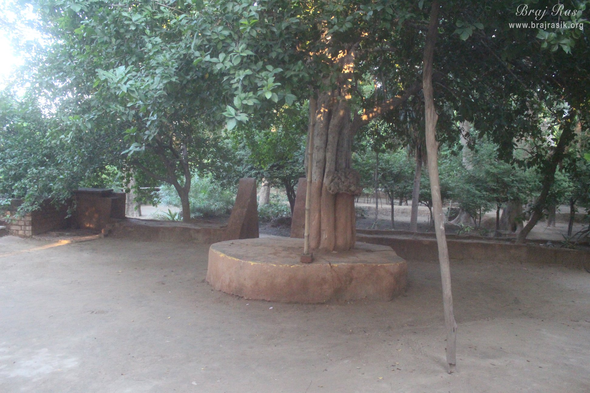 A seating place below a tree at Madan Ter Vrindavan