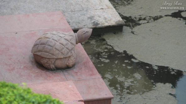 A turtle statue at Brahma Kunda, Vrindavan