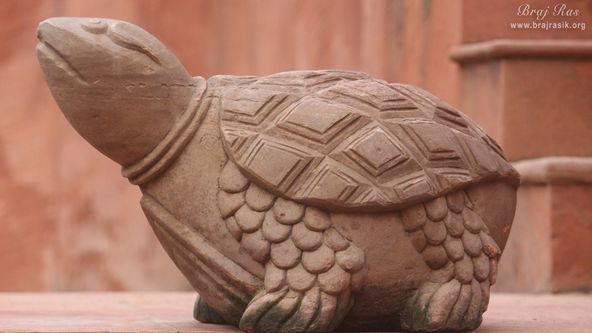 A close view of the statue of the turtle at Brahma Kunda, Vrindavan