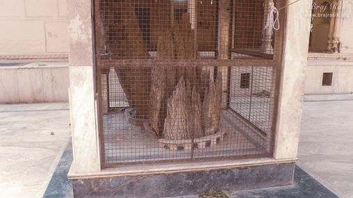 श्रृंगार वट, वृंदावन में एक प्राचीन वट वृक्ष के दर्शन