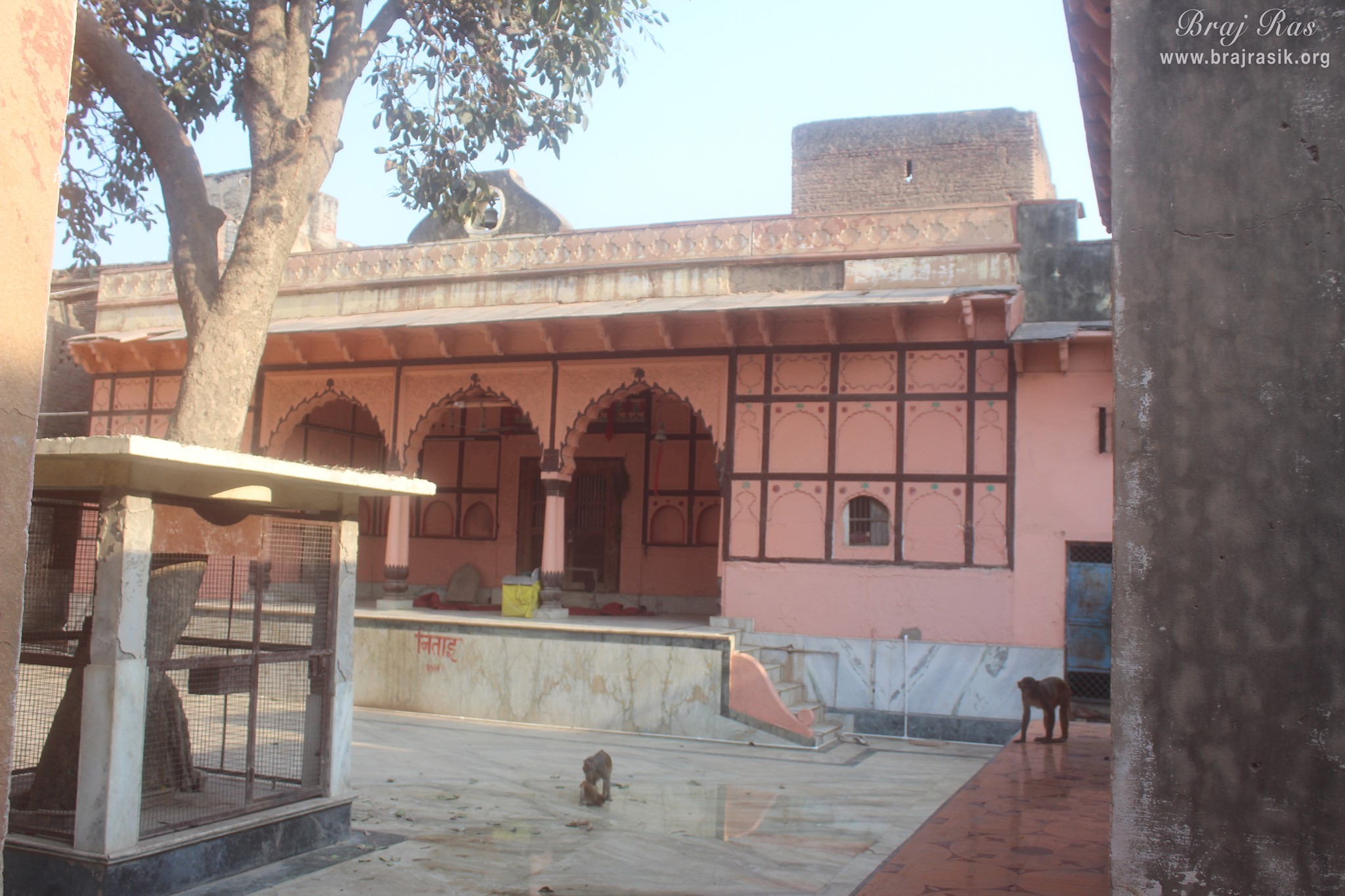View of temple at Shringar Vat, Vrindavan