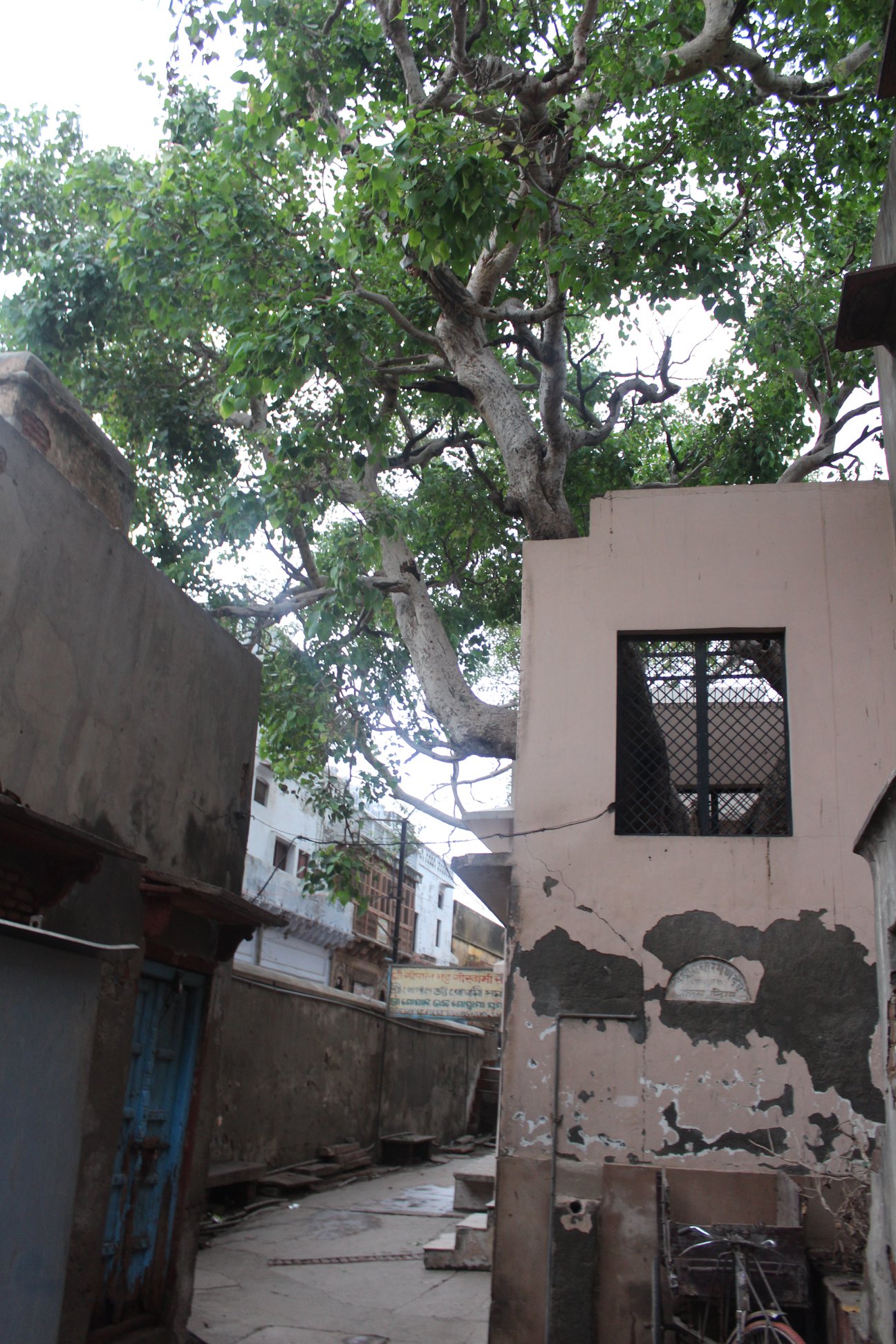 Way to Shri Gopal Bhatt Goswami samadhi beside Shri Radharaman Temple, Vrindavan