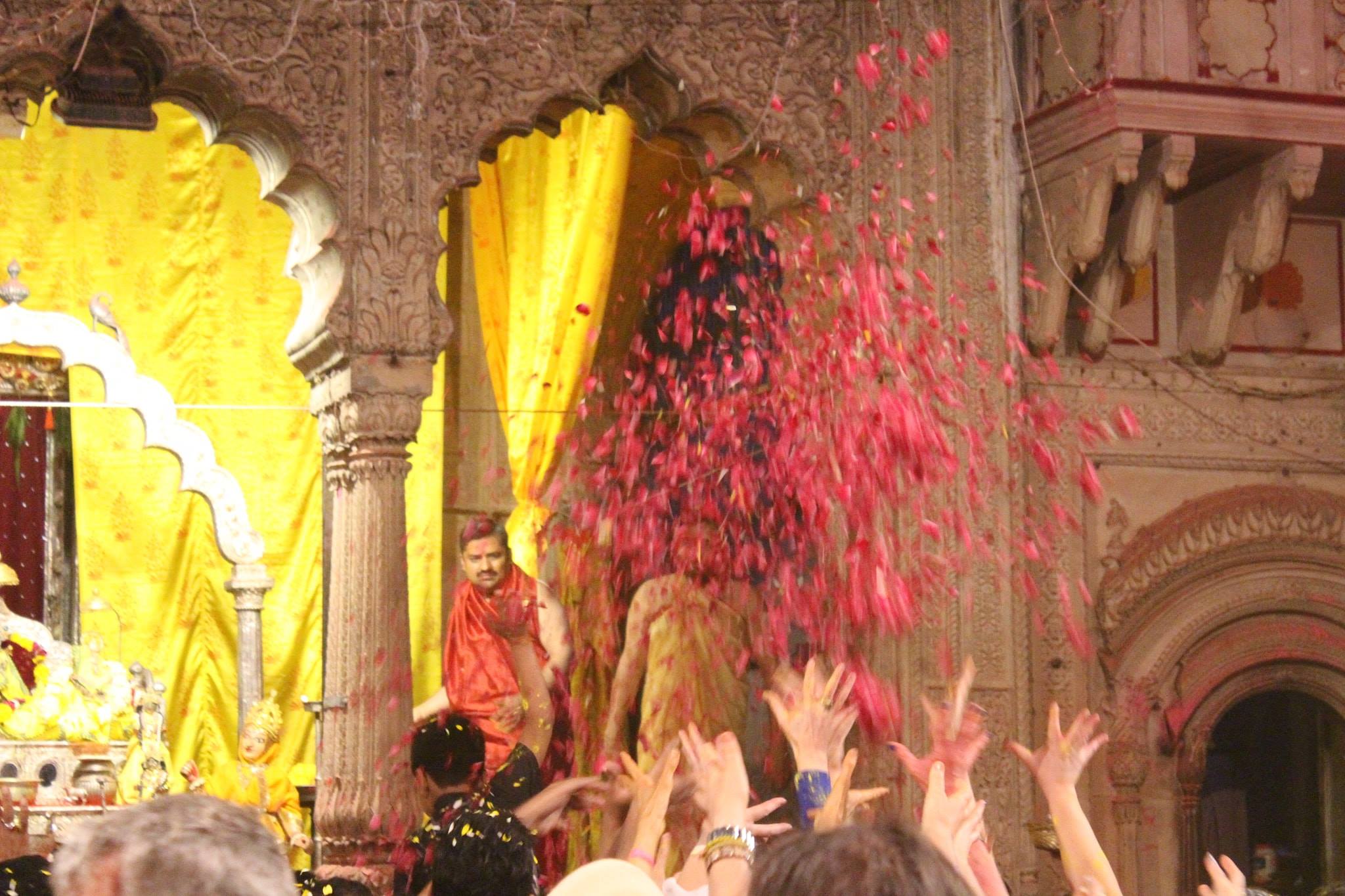 Sewayat throwing rose petals of deity on the devotees at Shri Radharaman Temple, Vrindavan