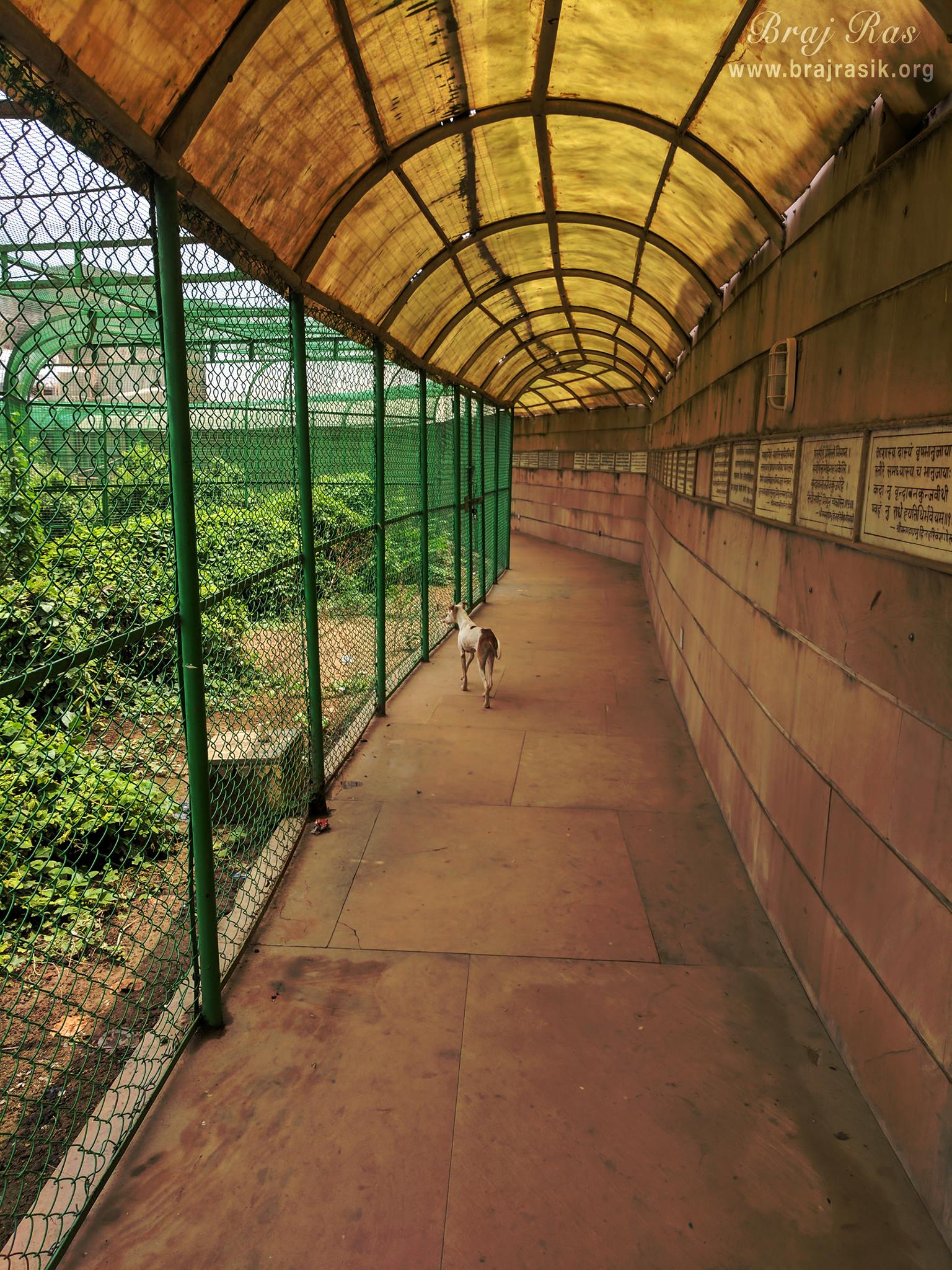 Parikrama path view of Sewa Kunj, Vrindavan