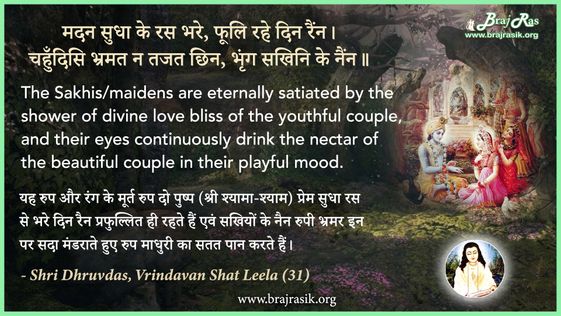 Madan Sudha Ke Ras Bhare, Phooli Rahe Din Rainn - Shri Dhruvdas, Vrindavan Shat Leela (31)