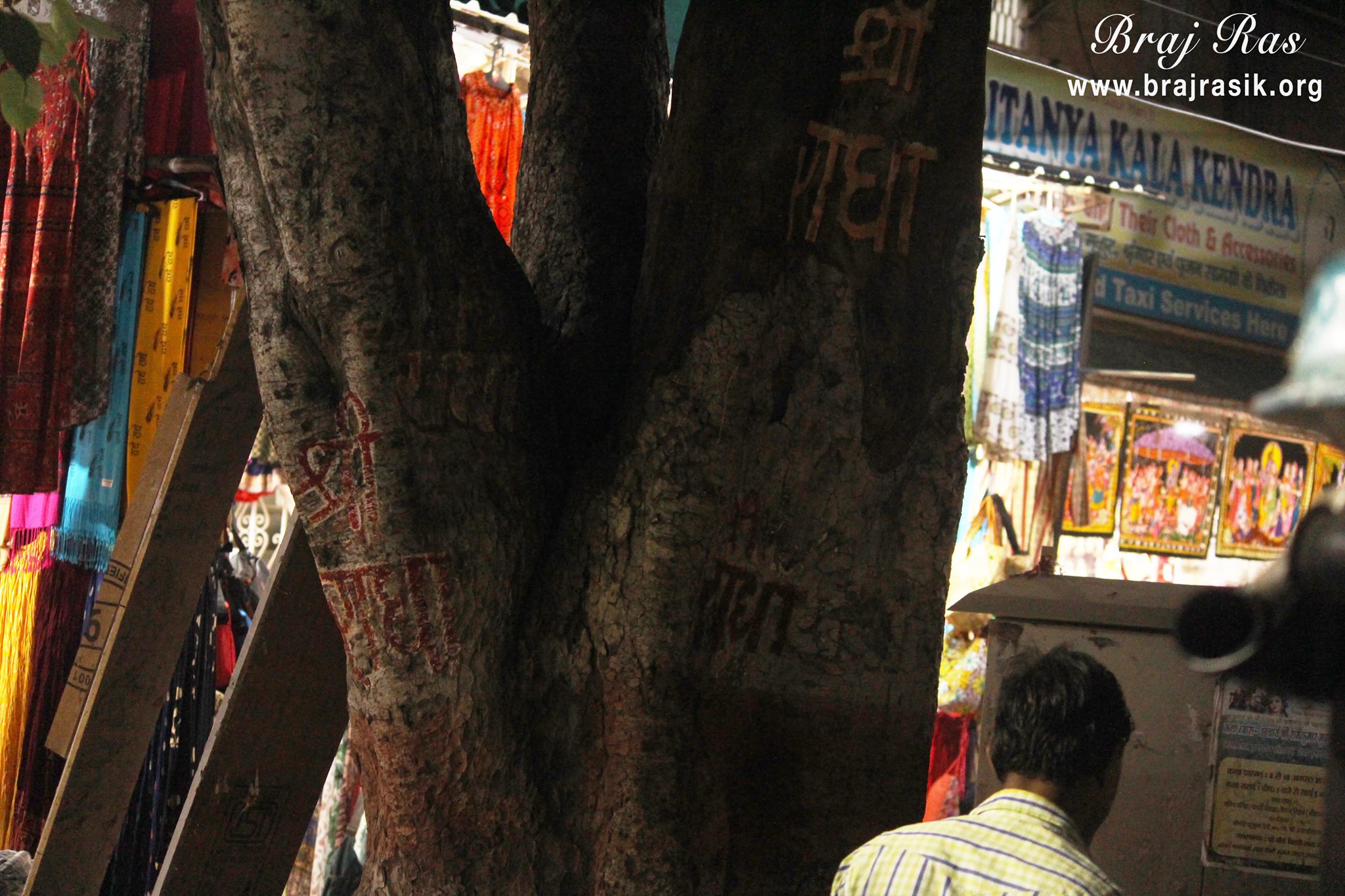 कृष्ण बलराम मंदिर (इस्कॉन), वृंदावन के बाहर एक पेड़ पर लिखा श्री राधा नाम