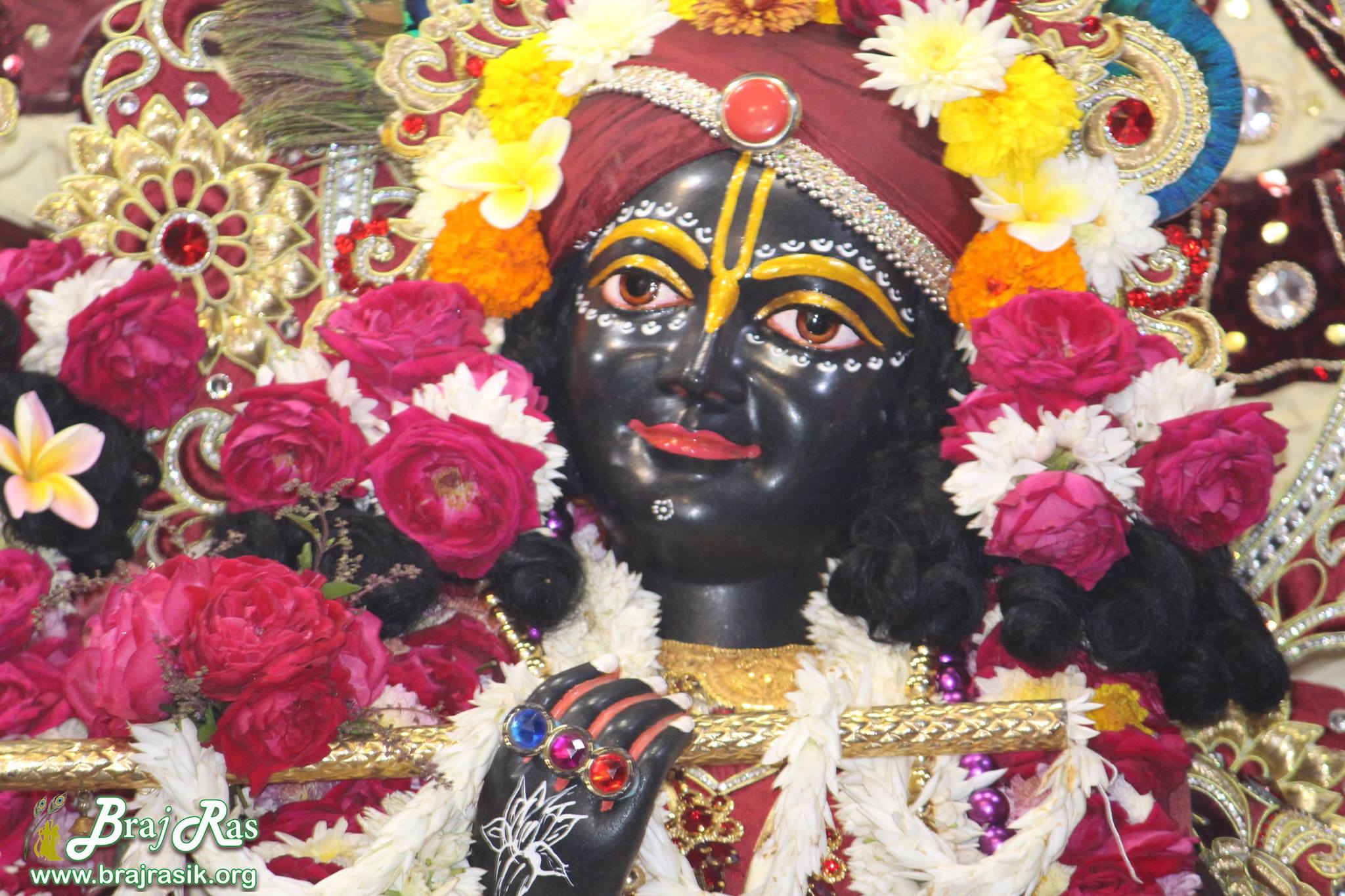 A close Darshan of Shri Krishna standing beside Balram in Krishna Balram Temple, Vrindavan ISKCON